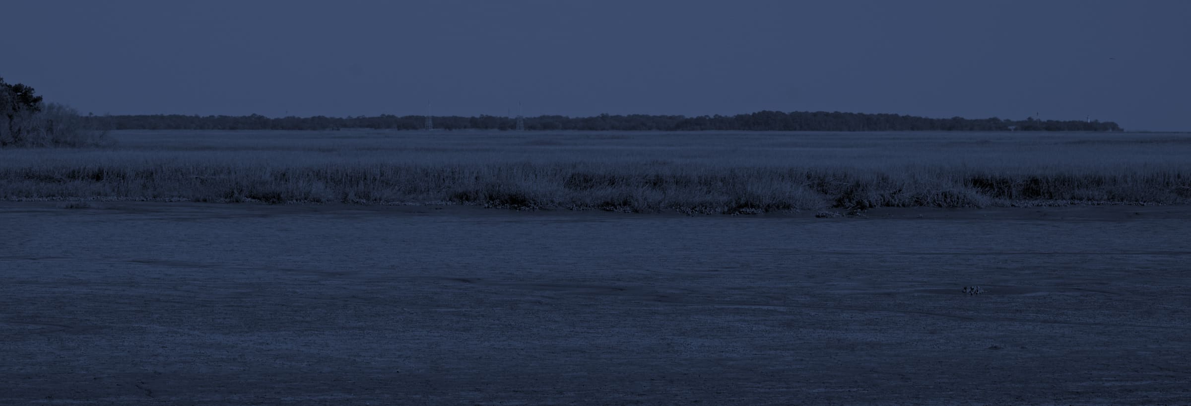 The Marshes of Glynn — tidal creek and marsh grass with the St. Simons treeline on the horizon